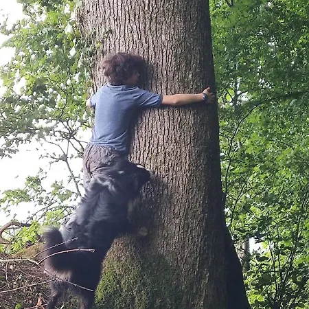 Dependance Du Chateau De Remehan Renovee Avec Gout 度假居