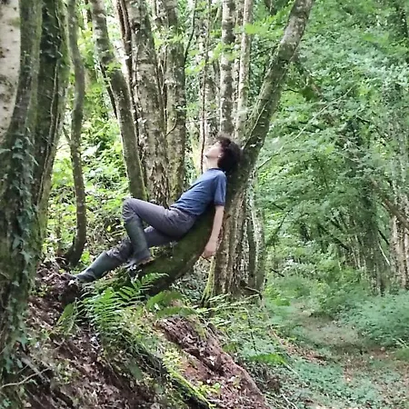 Dependance Du Chateau De Remehan Renovee Avec Gout * Pouru-Saint-Remy