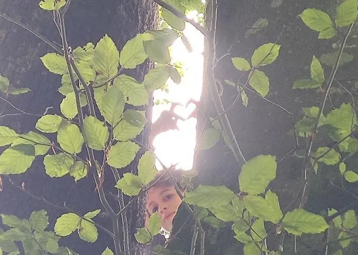 Tatil Evi Dependance Du Chateau De Remehan Renovee Avec Gout Pouru-Saint-Remy